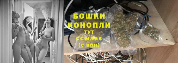 ГАЛЛЮЦИНОГЕННЫЕ ГРИБЫ Ельня