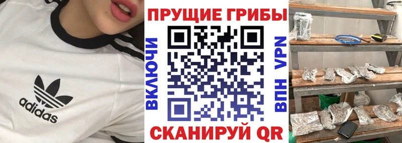 hydra сайт  Демидов  Галлюциногенные грибы MAGIC MUSHROOMS 